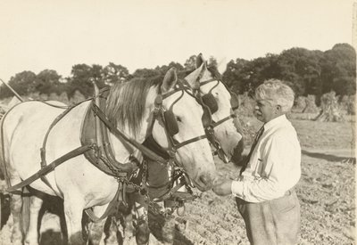 無題」1935年頃 作： Lewis Wickes Hine