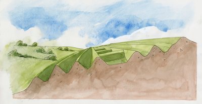 オールド・オズウェストリーの断面（水彩・紙） 作： Liam Wales