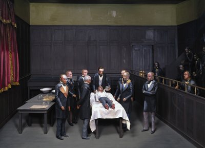 麻酔医の仕事(premiere operation avec anesthesie, anesthesiste) 作： Unbekannt Unbekannt