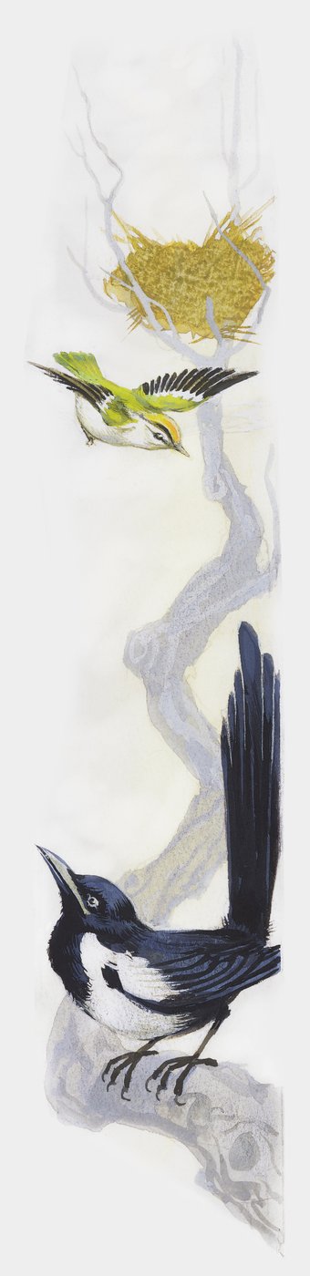 木の上で巣作りをする鳥と、それを下の枝から見守るカササギ（ドローイング 作： Unbekannt Unbekannt
