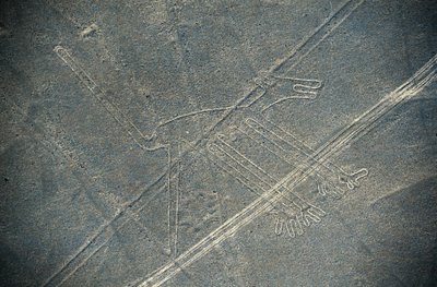 犬、ナスカの地上絵、ナスカ、ペルー、ナスカ文明（写真 作： Unbekannt Unbekannt