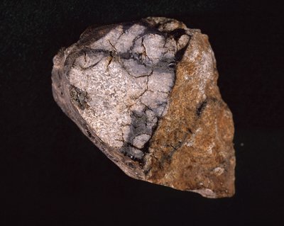 1875年にインドで発見された隕石 - パリ自然史博物館（Museum d