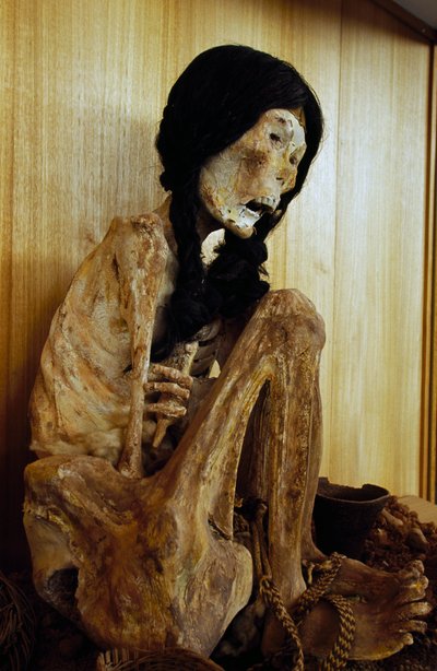 チリのサン・ペドロ・デ・アタカマから出土した「ミス・チリ」と呼ばれるミイラ（紀元前500年 作： Unbekannt Unbekannt