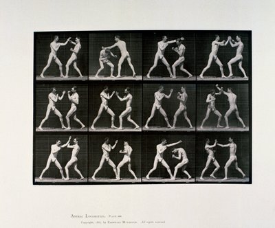 ヌードの男性アスリートがボクシングをする様子（1872-1885年頃 作： Unbekannt Unbekannt