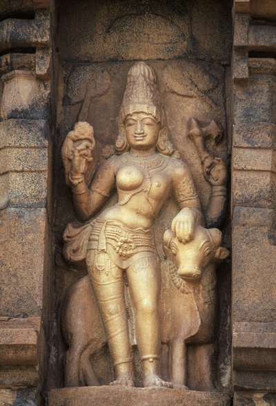 インド、タミル・ナードゥ州、ガンガイコンダ・チョラプラム、ブリハディスヴァラ寺院、パールヴァティを描いたレリーフ 作： Unbekannt Unbekannt