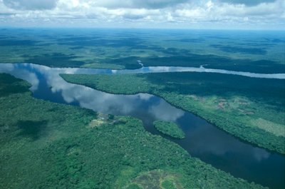 ベネズエラ、グアヤナ州、アマゾナス州、オリノコ川、航空写真
(写真) 作： Unbekannt Unbekannt