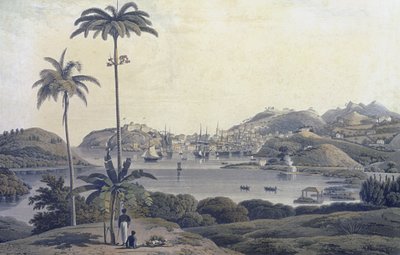 ウィリアムダニエル（1769-1837）によって彫刻されたベルモントエステートから撮られたグレナダ島のセントジョージの町の眺め、1810年頃 作： Lieutenant Colonel J. Wilson