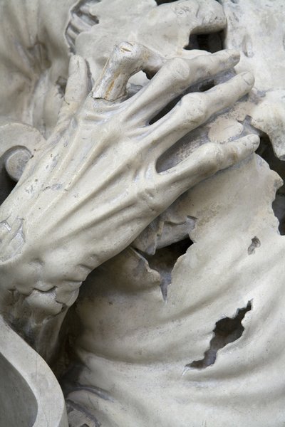 フレイデッド、またはスケルトン、詳細 作： Ligier Richier