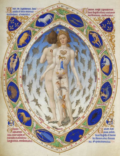 ベリー公爵の豊かな日々：アナトミカル・マン 作： Limbourg Brothers