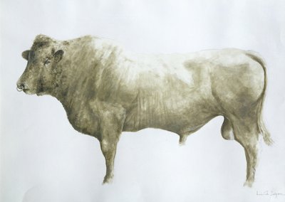 Islay Bull、2004（キャンバスにアクリル） 作： Lincoln Seligman