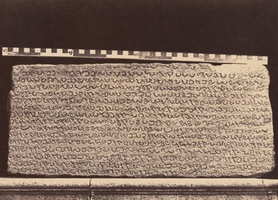 エリオット大理石、1859年（写真） 作： リンネ・トライプ