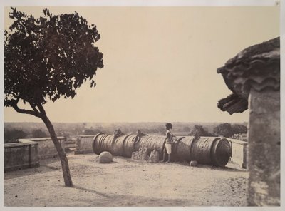 マドラスの「タンジョールとトリバディの写真の景色」より、タンジョールの怪物銃 作： Linnaeus Tripe