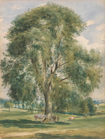 夏の風景の大木、根元に佇む馬 作： Lionel Constable