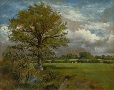 牧草地の木、1850年頃 作： Lionel Constable