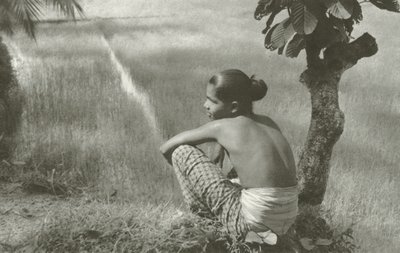 畑で（白黒写真） 作： Lionel Wendt