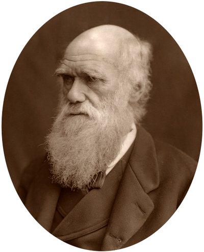 チャールズダーウィン、1878年。 作： Lock and Whitfield