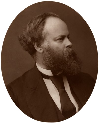 サミュエルプリムソール、Esq、MP、イギリス自由主義政治家および社会改革者、1876年。 作： Lock and Whitfield