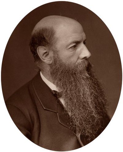 ウィルフリッドローソン卿、政治家、カーライル議会議員、1882年。 作： Lock and Whitfield