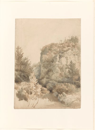 高い岩と小川のある生い茂った谷 作： Lodewijk Johannes Kleijn