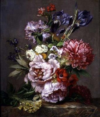 不明な画像 作： Lodewijk Johannes Nooijen