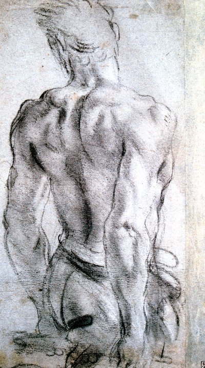 図の研究、c1560-1609 作： Lodovico Carracci