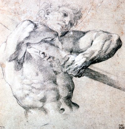 図の研究、c1575-1619 作： Lodovico Carracci