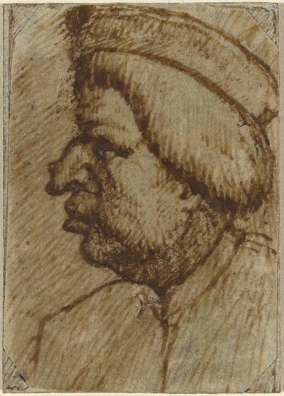 男のプロフィール 作： Lombard 16th Century
