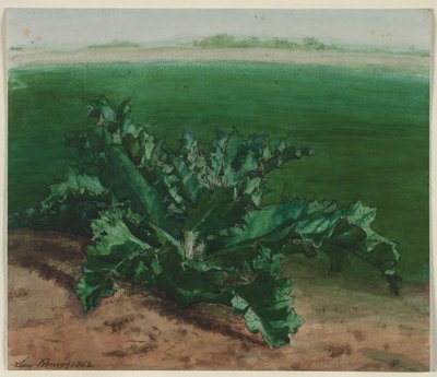 植物、おそらくアザミの研究 作： Léon Bonvin