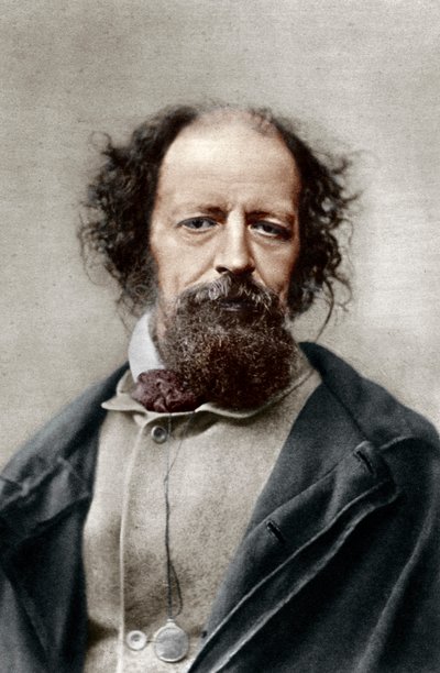 アルフレッド、テニーソン卿、イギリスの詩人賞受賞者、c1867。 作： London Stereoscopic and Photographic Co
