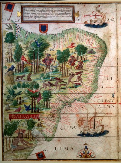 ブラジルの水路地図。 写本は、地図製作者Loppo Homem 1519 Parisによる「ポルトガル航海アトラス」を列挙しました。 B.N. 作： Lopo Homem
