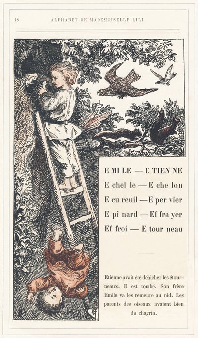 Emile, Etienne, Echelle, Echelon, Squirrel, Sparrow, Epinard, Scarer, Farry, Stourneau, page 18 - Mademoiselle Liliによるアルファベット、L. Froelichによるアルファベット、お父さん（Hetzel自身）によるアルファベット。J. Hetzel  Cie, パリの図書館と教育・娯楽雑誌。 作： Lorentz Froelich