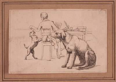 A dog