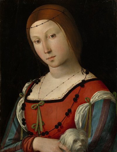 愛玩犬を連れた貴婦人の肖像 作： Lorenzo Costa