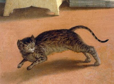 怯えた猫、「レカナティの受胎告知」の細部、1534年頃、ロレンツォ・ロット（1480-1556）作、油彩・キャンバス 作： Lorenzo Lotto