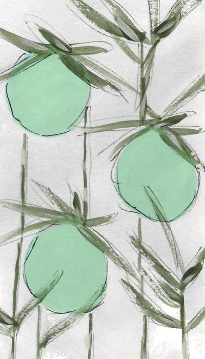  作： Lori Ann Folz