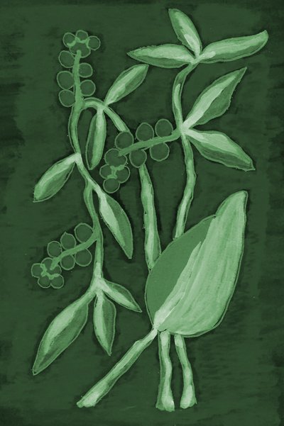 植物が織りなす緑のグラデーション 作： Lori Ann Folz