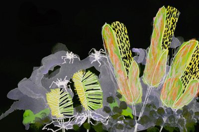 輝く夜の庭 作： Lori Ann Folz
