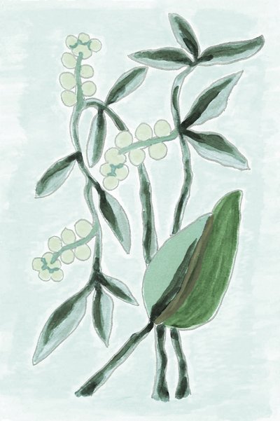 グリーンの植物水彩画 作： Lori Ann Folz