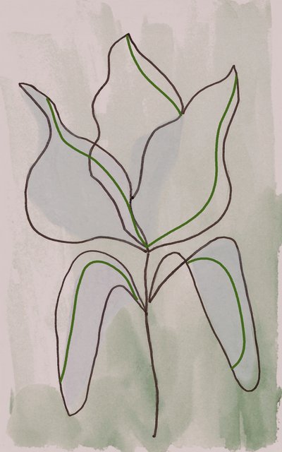 ミニマルな植物の輪郭 作： Lori Ann Folz