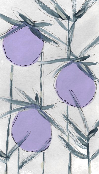 紫色の植物由来のフルーツ 作： Lori Ann Folz