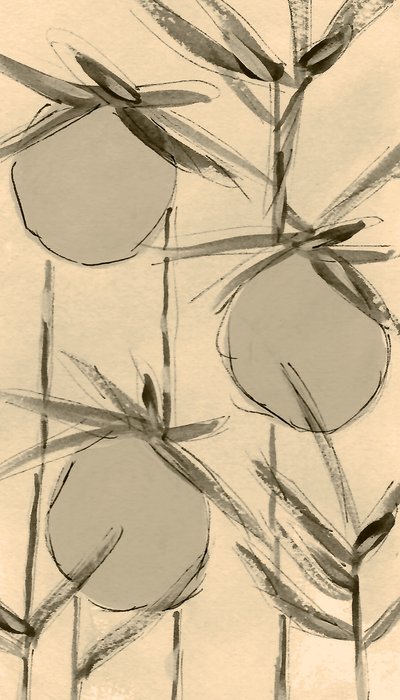 セピア色の綿花 作： Lori Ann Folz