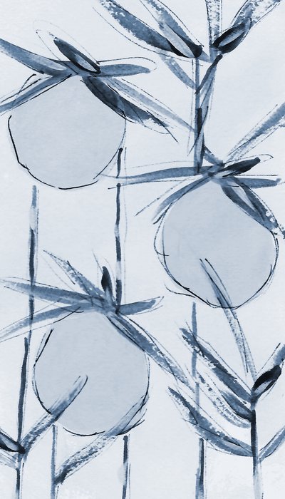  作： Lori Ann Folz