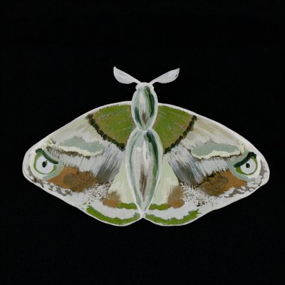 印象的な緑色の蛾 作： Lori Ann Folz