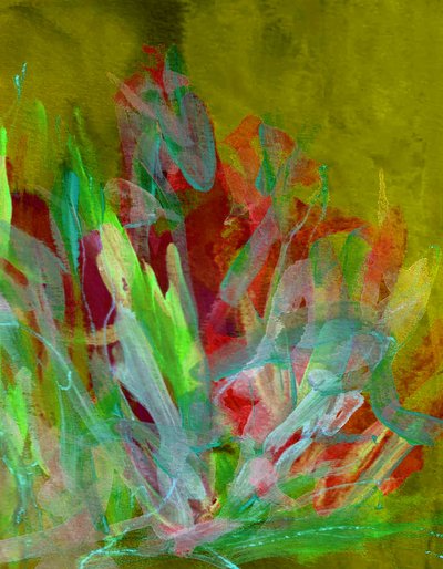  作： Lori Ann Folz