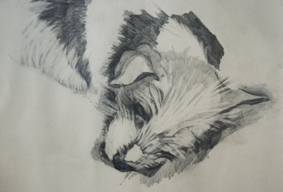 ジャックラッセル、2015年、 作： Lou Gibbs