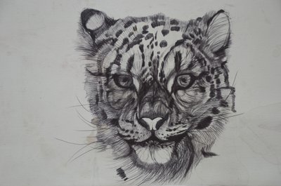 Snow Leopard、2016、（bic biro on paper） 作： Lou Gibbs