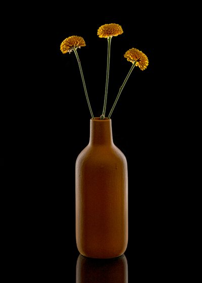 温かみのある花と茶色の花瓶 作： 