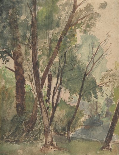 池のほとりの木」1853年～1878年 作： Louis Antoine Leon Riesener