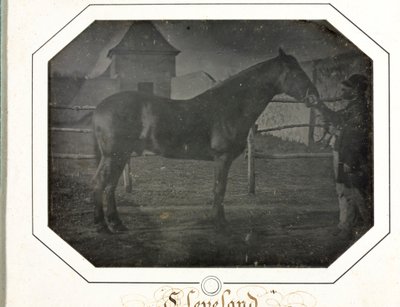 クリーブランド、c。 1842-1843。 作： Louis Auguste Bisson