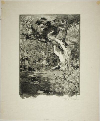 ル・クロヴィス、ベルクロワ高原 作： Louis Auguste Lepère